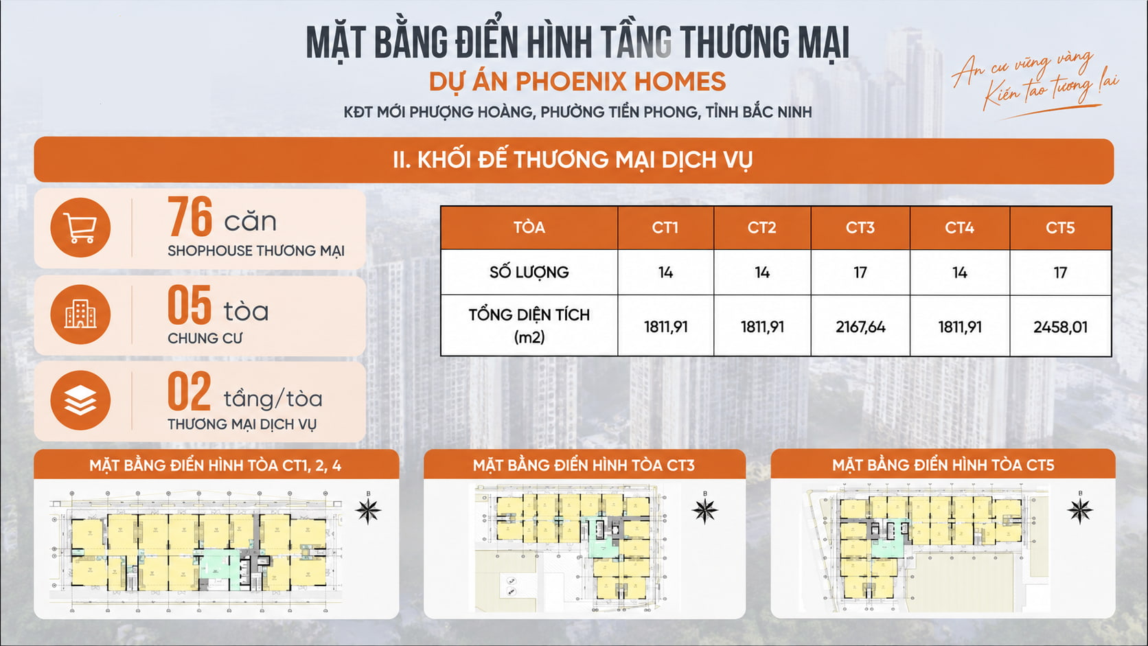 Mặt bằng dự án Phoenix Homes